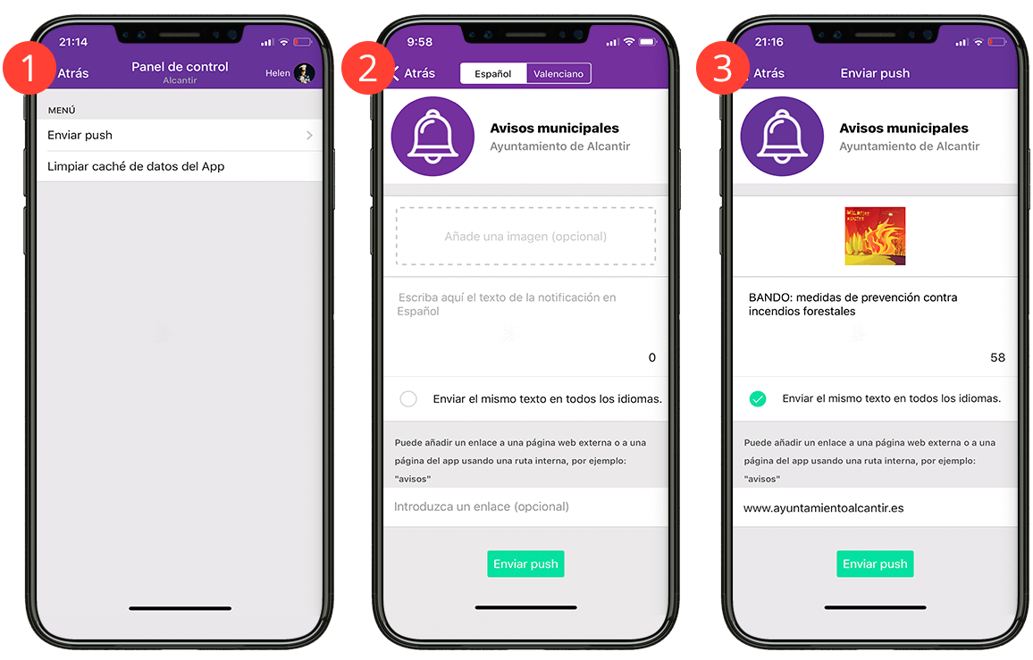 push desde app